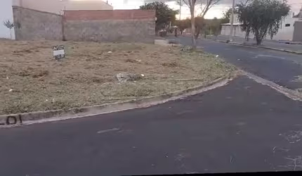 Terreno Padrão