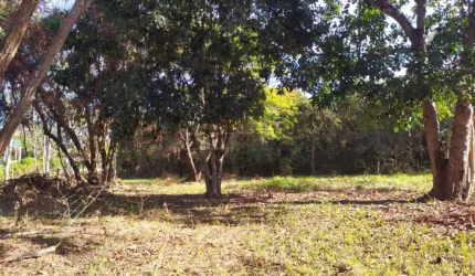 Rural Chácara em São Carlos