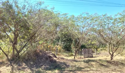 Terreno Padrão em São Carlos
