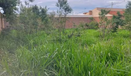 Terreno Padrão em São Carlos