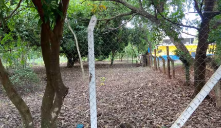 Terreno Padrão em São Carlos