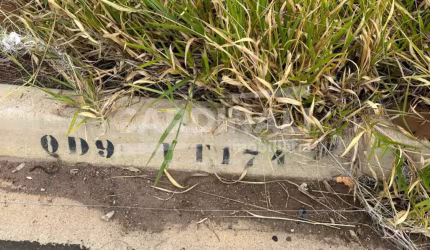 Terreno Padrão em São Carlos