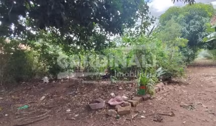 Terreno Padrão em São Carlos