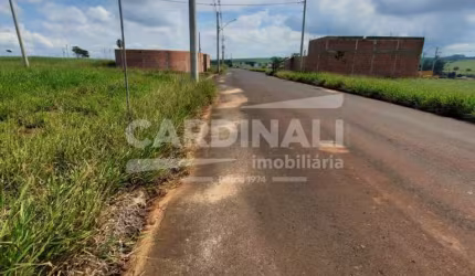 Terreno Padrão em São Carlos
