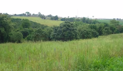 Terreno Padrão em Limeira