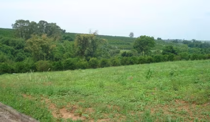 Terreno Padrão em Limeira