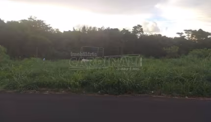 Terreno Padrão em Araraquara