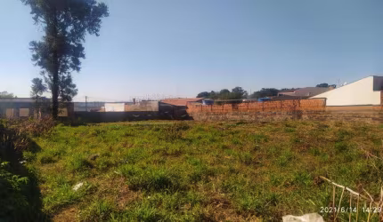 Terreno Padrão em São Carlos