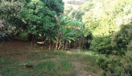 Terreno Padrão em São Carlos