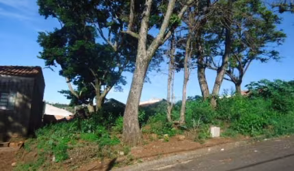 Casa Padrão em São Carlos