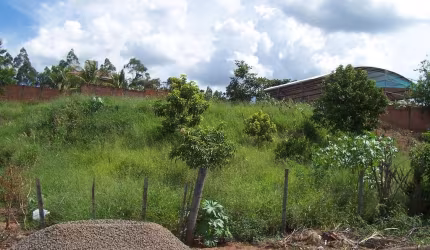 Terreno Padrão em Ribeirão Bonito