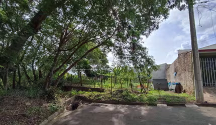 Terreno Padrão em São Carlos
