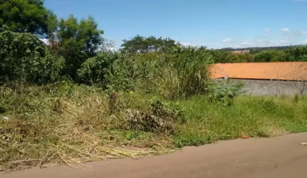 Terreno Padrão em São Carlos