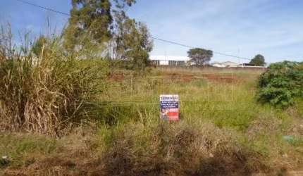Terreno Padrão em São Carlos