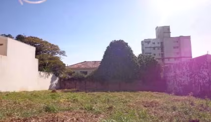 Terreno Padrão em São Carlos