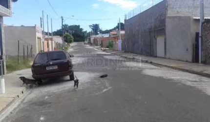 Terreno Padrão em São Carlos