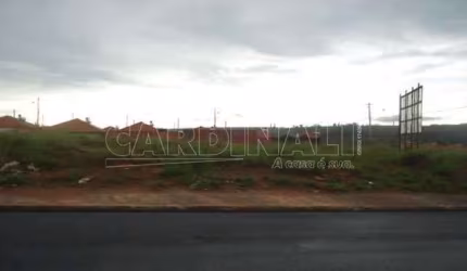 Terreno Padrão em São Carlos
