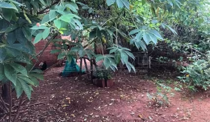 Casa Padrão em Ibaté