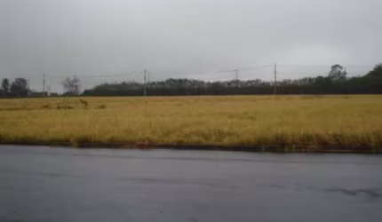 Terreno Padrão em São Carlos