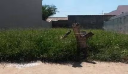 Terreno Padrão em São Carlos