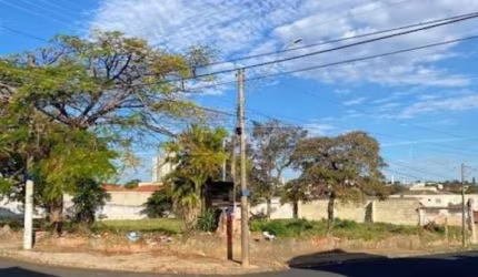 Terreno Padrão em São Carlos