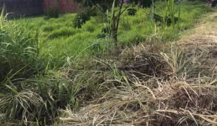 Terreno Padrão em São Carlos