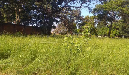 Terreno Padrão em Araraquara