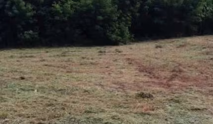 Terreno Padrão em Araraquara