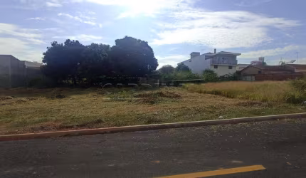 Terreno Padrão em São Carlos