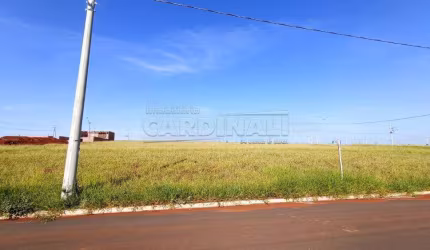 Terreno Padrão em São Carlos