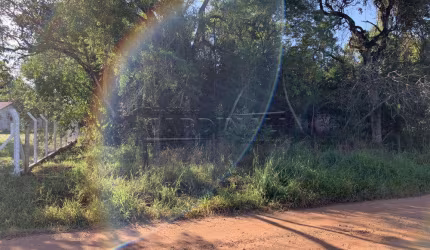 Terreno Padrão em São Carlos