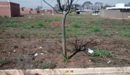Lote em Porto Ferreira - SP