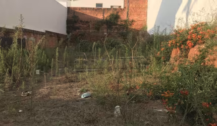 Terreno Padrão em São Carlos