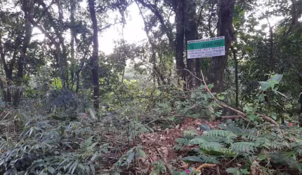 Terreno à venda na Serra da Cantareira, Mairiporã  por R$ 210.000