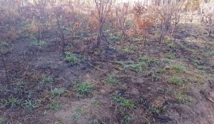 Terreno escriturado à venda em Terra Preta - Mairiporã SP