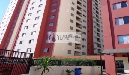Lindo apartamento com 3 dormitórios na Vila Ema