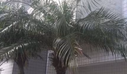 Apartamento para Venda em Itanhaém, Jardim Iberá, 2 dormitórios, 1 suíte, 2 banheiros, 2 vagas