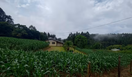 Chácara à venda, em Mandirituba – 05.006