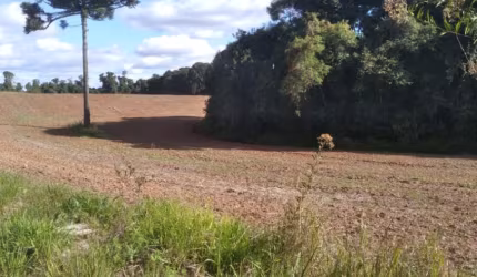 Área de terra rural com 119.635m² em Araucária