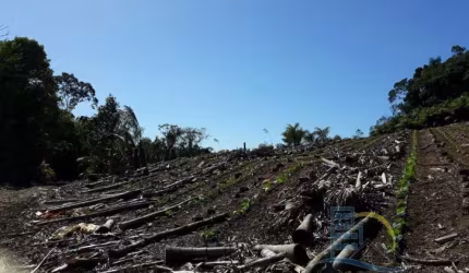 Terreno - Em rua, para Venda em São Francisco do Sul/SC