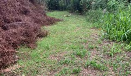 Rural - Chácara, para Venda em Rio dos Cedros/SC