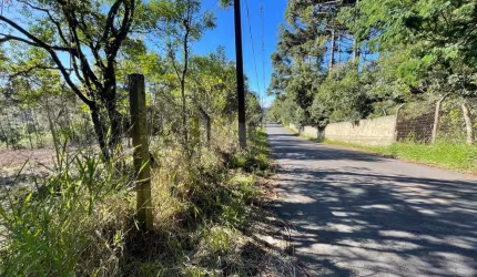 Terreno à venda no bairro Ferraria - Campo Largo/PR
