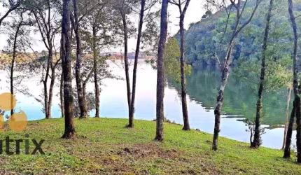 Área à venda, 22000 m² por R$ 1.650.000,00 - Butiatuva - Campo Largo/PR