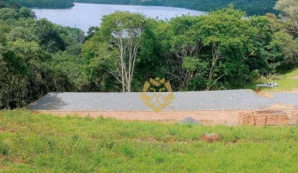 Oportunidade Única!!! Chácara com 1 dormitório à venda, 26000 m² por R$ 2.950.000 - Butiatuva - Campo Largo/PR!