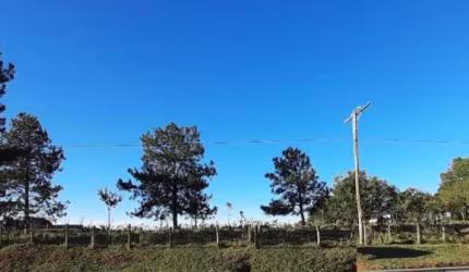 Vendo área frente para Raposo Tavares Itapetininga SP