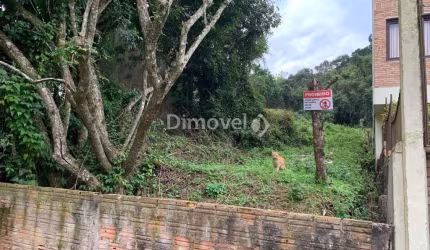Terreno à venda na Rua Edgar Luiz Schneider, 36, Jardim Isabel, Porto Alegre por R$ 795.000