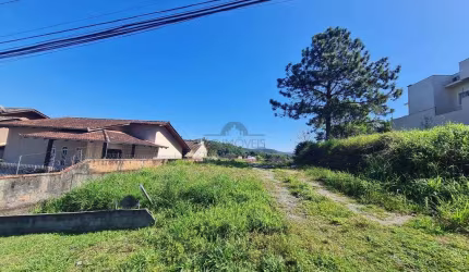 TERRENO no ANITA GARIBALDI com 0 quartos para VENDA, 390 m²