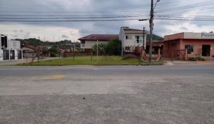 TERRENO no FLORESTA com 0 quartos para VENDA, 534 m²