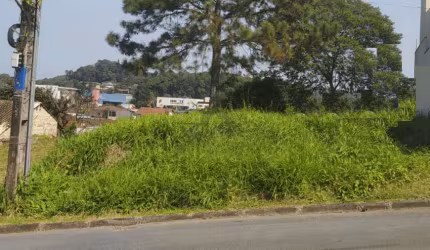 TERRENO no ANITA GARIBALDI com 0 quartos para VENDA, 390 m²