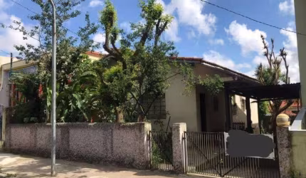 Terreno à venda, 250 m² - Nova Petrópolis - São Bernardo do Campo/SP